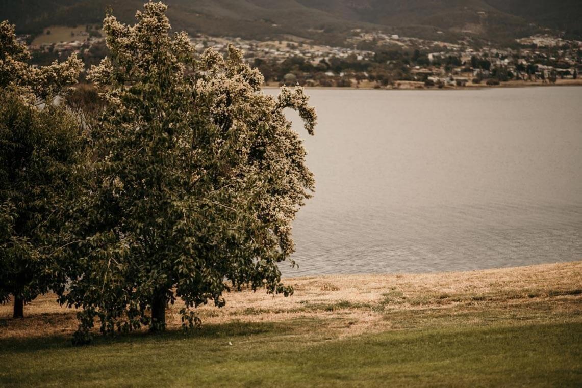 Otago Cottage Hobart Bagian luar foto